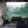 Fototapeta Rainforest Morning Fog