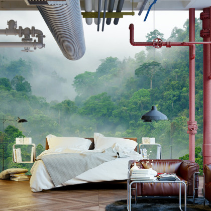 Fototapeta Rainforest Morning Fog