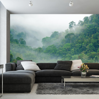 Fototapeta Rainforest Morning Fog