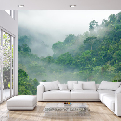 Fototapeta Rainforest Morning Fog