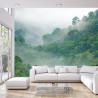 Fototapeta Rainforest Morning Fog