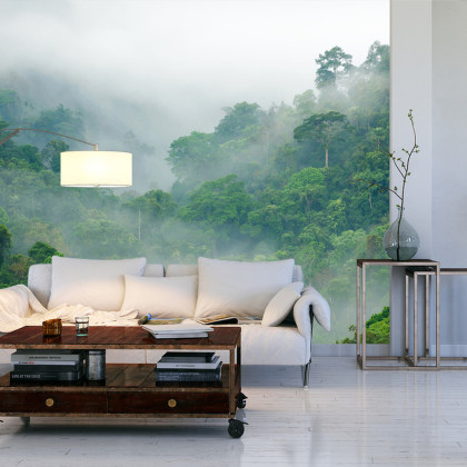 Fototapeta Rainforest Morning Fog
