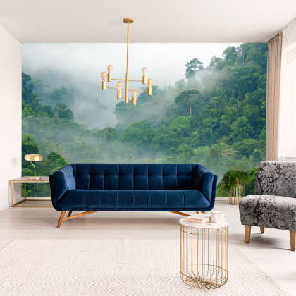 Fototapeta Rainforest Morning Fog