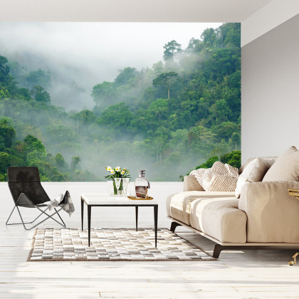 Fototapeta Rainforest Morning Fog