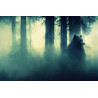 Fototapeta Abstract Bear Background. Bear Double Exposure Background