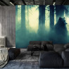 Fototapeta Abstract Bear Background. Bear Double Exposure Background