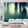 Fototapeta Abstract Bear Background. Bear Double Exposure Background