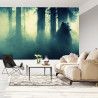Fototapeta Abstract Bear Background. Bear Double Exposure Background