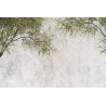 Fototapeta Tropical Trees And Leaves For Digital Printing Wallpaper, Custom Design Wallpaper - 3D