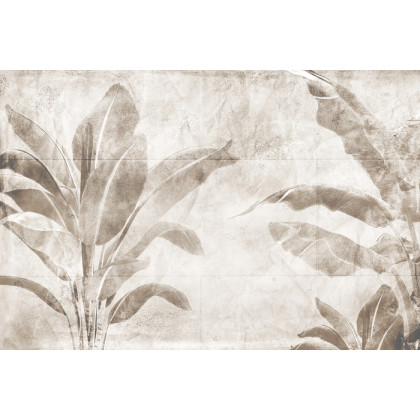 Fototapeta Tropical Trees And Leaves For Digital Printing Wallpaper, Custom Design Wallpaper - 3D
