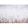 Fototapeta Tropical Trees And Leaves For Digital Printing Wallpaper, Custom Design Wallpaper - 3D