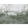 Fototapeta Tropical Trees And Leaves For Digital Printing Wallpaper, Custom Design Wallpaper - 3D