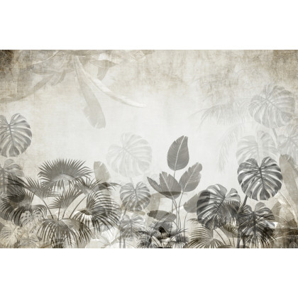Fototapeta Tropical Trees And Leaves For Digital Printing Wallpaper, Custom Design Wallpaper - 3D