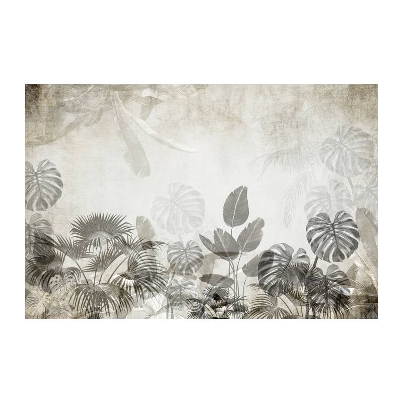 Fototapeta Tropical Trees And Leaves For Digital Printing Wallpaper, Custom Design Wallpaper - 3D
