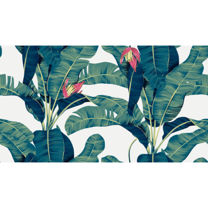 Fototapeta Botanical Seamless Pattern, Hand Drawn Banana Tree On Bright Grey