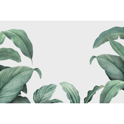 Fototapeta Tropical Leaves Frame