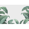 Fototapeta Tropical Leaves Frame