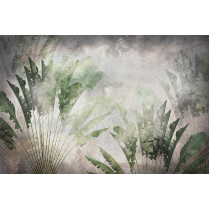 Fototapeta Tropical Trees And Leaves For Digital Printing Wallpaper, Custom Design Wallpaper - 3D