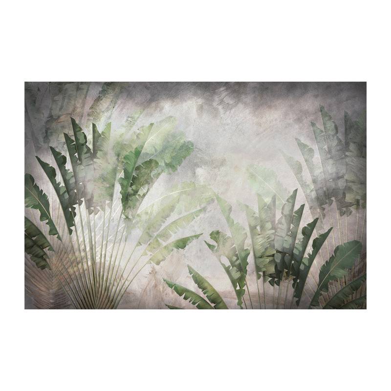 Fototapeta Tropical Trees And Leaves For Digital Printing Wallpaper, Custom Design Wallpaper - 3D