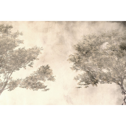 Fototapeta Tropical Trees And Leaves For Digital Printing Wallpaper, Custom Design Wallpaper - 3D