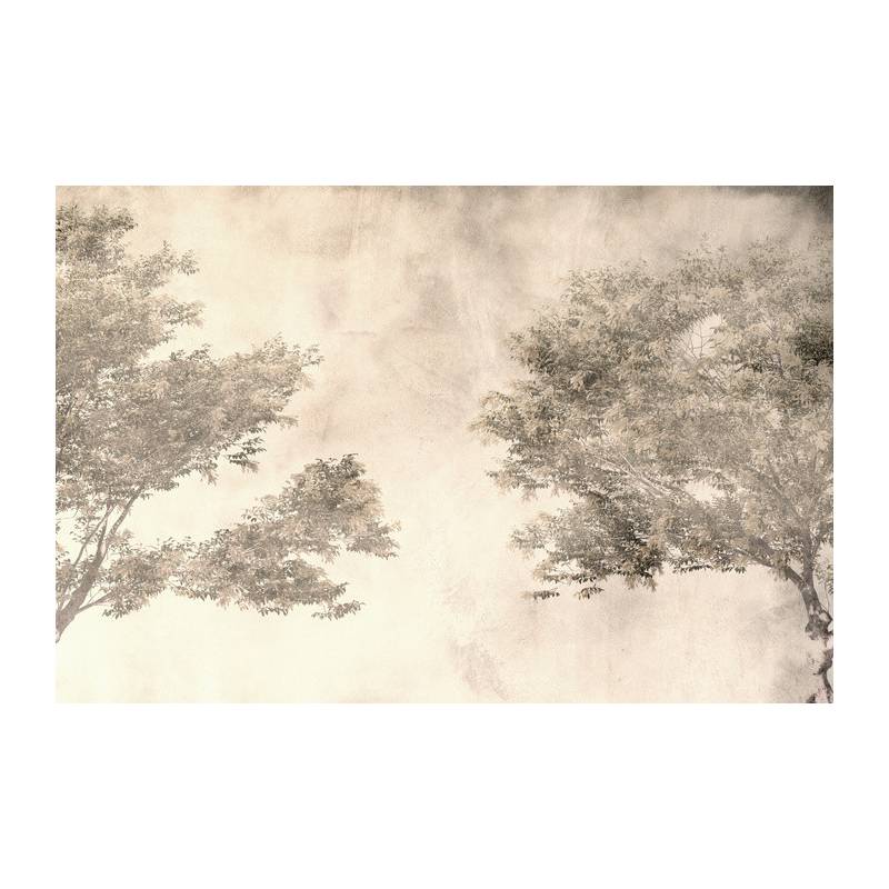 Fototapeta Tropical Trees And Leaves For Digital Printing Wallpaper, Custom Design Wallpaper - 3D