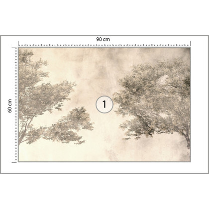 Fototapeta Tropical Trees And Leaves For Digital Printing Wallpaper, Custom Design Wallpaper - 3D