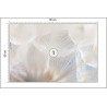 Fototapeta Abstract Dandeli. Seed Macro Closeup. Soft Focus