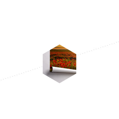 Fototapeta Kwiaty