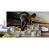 Fototapeta Sportowiec W Bloku Startowym 3D
