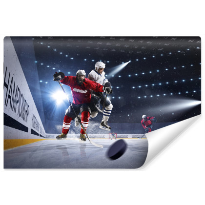 Fototapeta Starcie Hokeistów