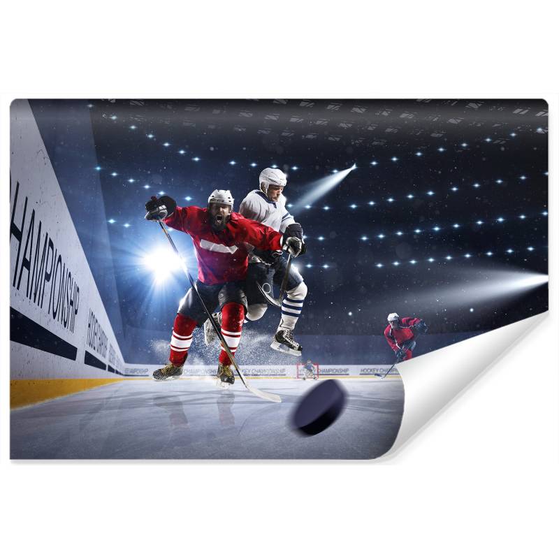 Fototapeta Starcie Hokeistów