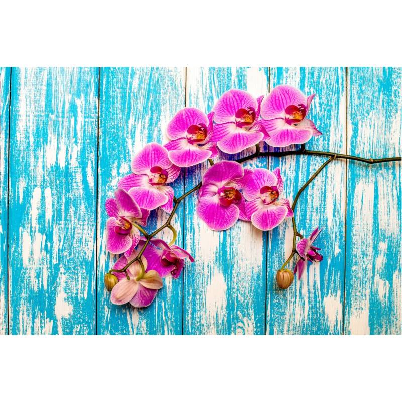 Fototapeta Orchidee Na Tle Desek