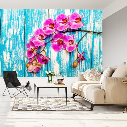 Fototapeta Orchidee Na Tle Desek