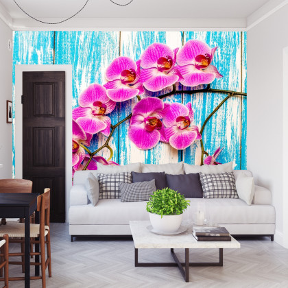 Fototapeta Orchidee Na Tle Desek