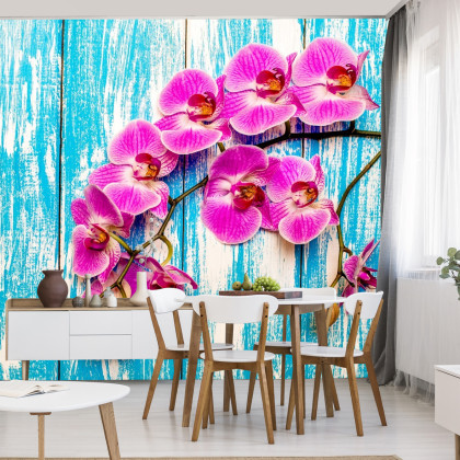 Fototapeta Orchidee Na Tle Desek