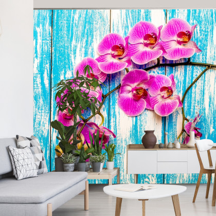 Fototapeta Orchidee Na Tle Desek