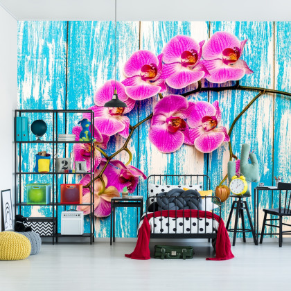 Fototapeta Orchidee Na Tle Desek