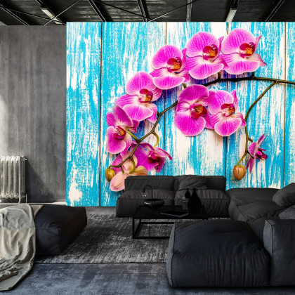 Fototapeta Orchidee Na Tle Desek