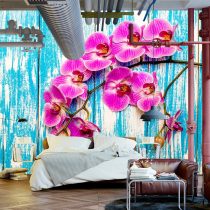 Fototapeta Orchidee Na Tle Desek