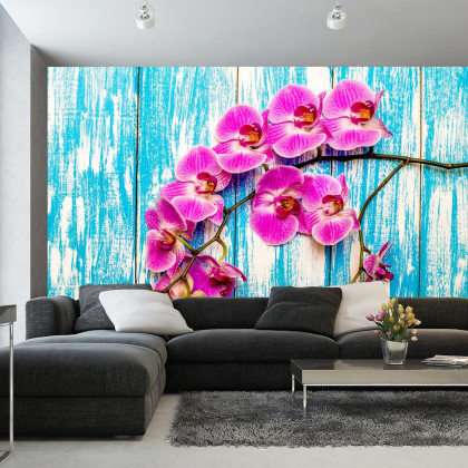 Fototapeta Orchidee Na Tle Desek