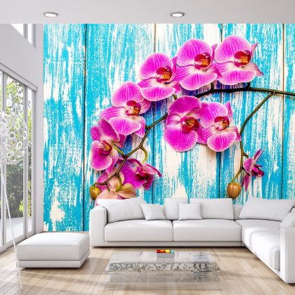 Fototapeta Orchidee Na Tle Desek