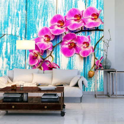 Fototapeta Orchidee Na Tle Desek