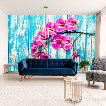 Fototapeta Orchidee Na Tle Desek