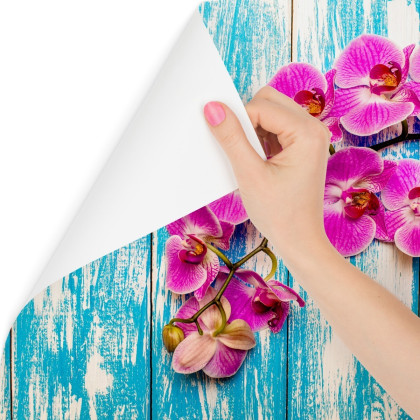 Fototapeta Orchidee Na Tle Desek
