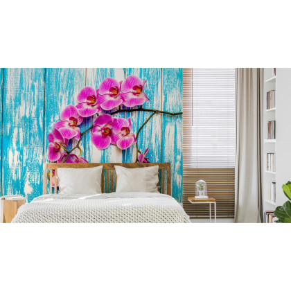 Fototapeta Orchidee Na Tle Desek