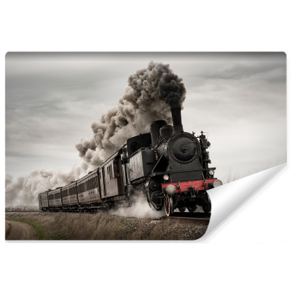 Fototapeta Zabytkowa Lokomotywa W Ruchu