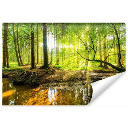 Fototapeta Wiosną W Efekcie 3D