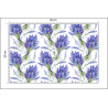Fototapeta Lawenda Kwiaty