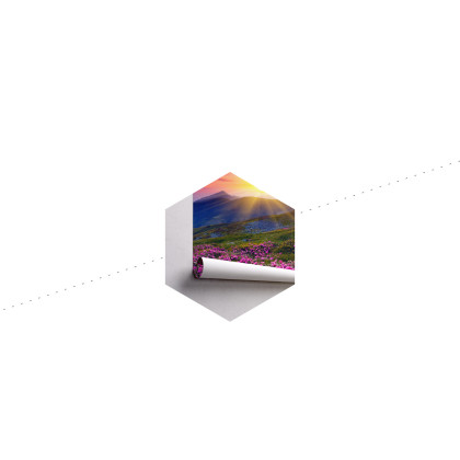 Fototapeta Kwiaty