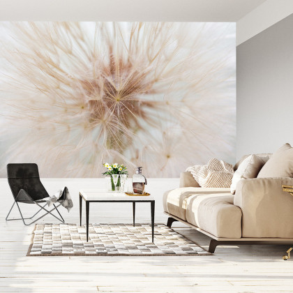 Fototapeta Dmuchawiec 3D